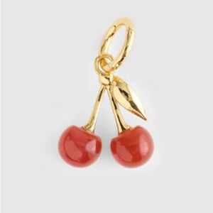 NWT MADEWELL Semiprecious Cherry Charm